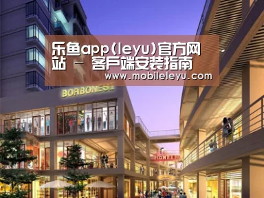 案例展示一(图1)