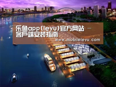 案例展示八