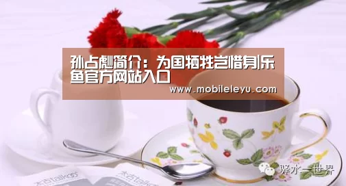 乐鱼官方网站入口