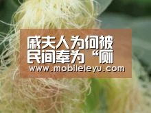 戚夫人为何被民间奉为“厕神”?真相竟然是这样【leyu直播】(图2) 戚夫人为何被民间奉为“厕神”?真相竟然是这样【leyu直播】(图2)