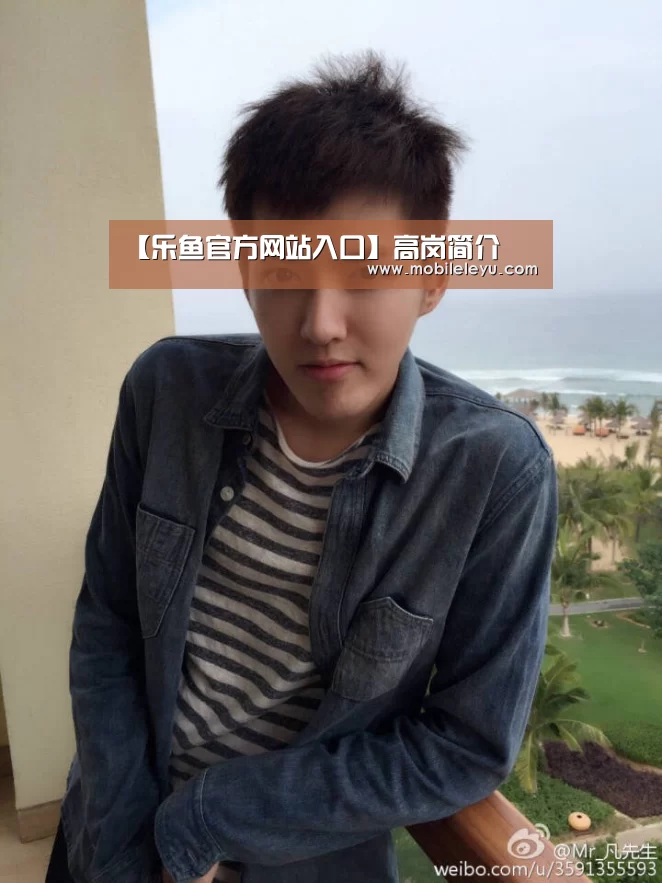 【乐鱼官方网站入口】高岗简介(图2) 乐鱼官方网站入口