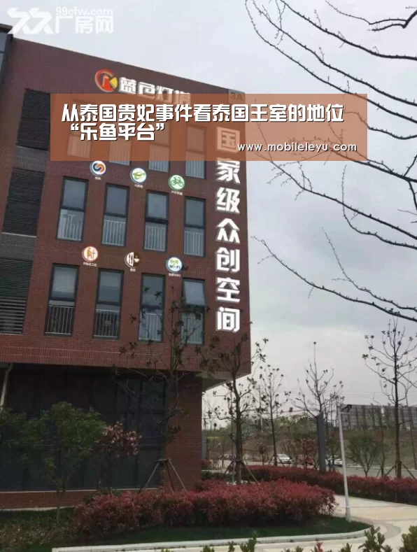从泰国贵妃事件看泰国王室的地位“乐鱼平台”(图2) 乐鱼平台