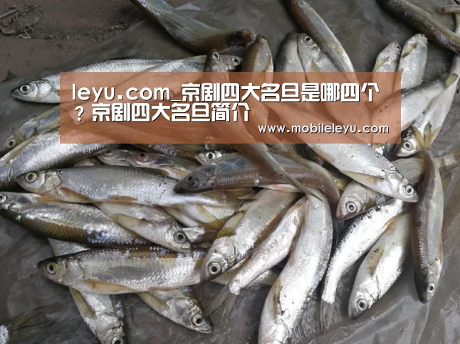 leyu.com_京剧四大名旦是哪四个?京剧四大名旦简介(图4) 乐鱼平台